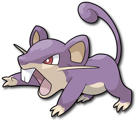 Rattata